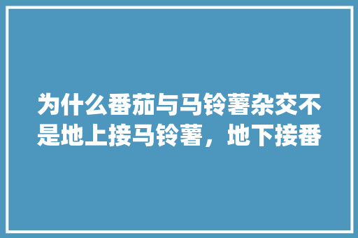 为什么番茄与马铃薯杂交不是地上接马铃薯，地下接番茄呢_怎么种植番茄土豆苗呢视频 为什么番茄与马铃薯杂交不是地上接马铃薯，地下接番茄呢_怎么种植番茄土豆苗呢视频 番茄病虫害防治