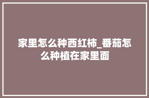 家里怎么种西红柿_番茄怎么种植在家里面 家里怎么种西红柿_番茄怎么种植在家里面 番茄病虫害防治
