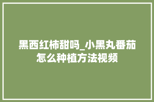 黑西红柿甜吗_小黑丸番茄怎么种植方法视频 黑西红柿甜吗_小黑丸番茄怎么种植方法视频 花朵知识