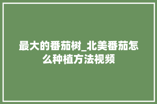最大的番茄树_北美番茄怎么种植方法视频