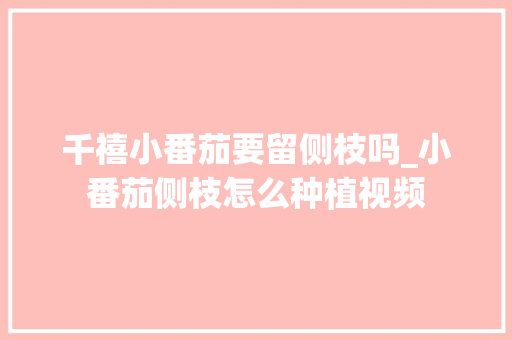千禧小番茄要留侧枝吗_小番茄侧枝怎么种植视频 千禧小番茄要留侧枝吗_小番茄侧枝怎么种植视频 农业常识