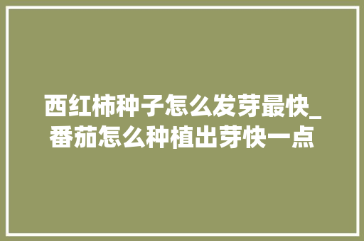 西红柿种子怎么发芽最快_番茄怎么种植出芽快一点 西红柿种子怎么发芽最快_番茄怎么种植出芽快一点 种植技巧