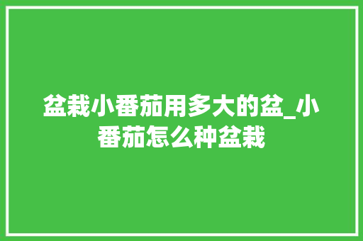 盆栽小番茄用多大的盆_小番茄怎么种盆栽 盆栽小番茄用多大的盆_小番茄怎么种盆栽 花朵知识