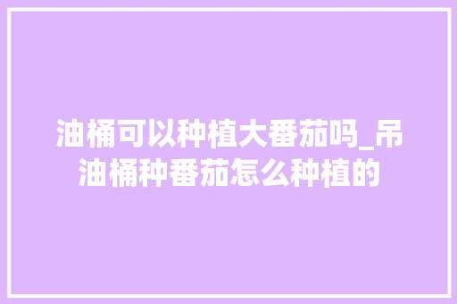 油桶可以种植大番茄吗_吊油桶种番茄怎么种植的 油桶可以种植大番茄吗_吊油桶种番茄怎么种植的 土壤施肥