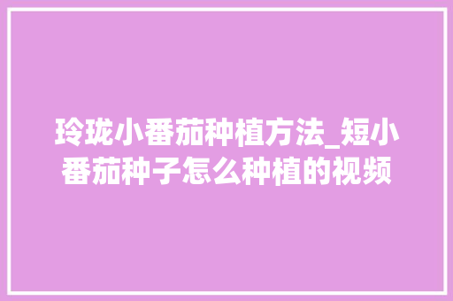 玲珑小番茄种植方法_短小番茄种子怎么种植的视频 玲珑小番茄种植方法_短小番茄种子怎么种植的视频 植物种类