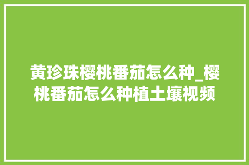 黄珍珠樱桃番茄怎么种_樱桃番茄怎么种植土壤视频 黄珍珠樱桃番茄怎么种_樱桃番茄怎么种植土壤视频 农业常识