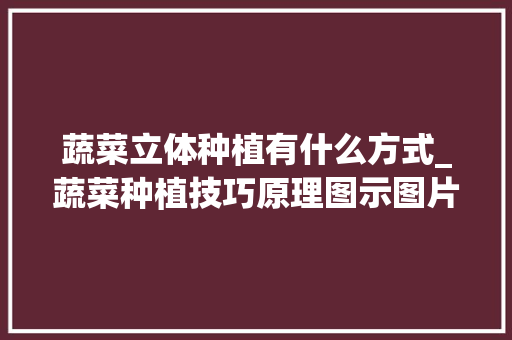 蔬菜立体种植有什么方式_蔬菜种植技巧原理图示图片