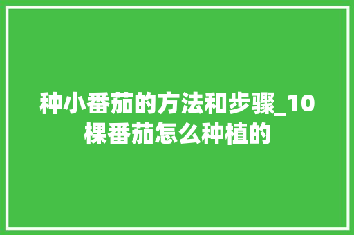 种小番茄的方法和步骤_10棵番茄怎么种植的 种小番茄的方法和步骤_10棵番茄怎么种植的 农业常识