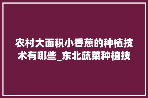 农村大面积小香葱的种植技术有哪些_东北蔬菜种植技巧视频教程
