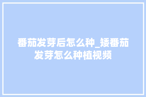 番茄发芽后怎么种_矮番茄发芽怎么种植视频