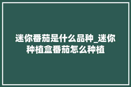 迷你番茄是什么品种_迷你种植盒番茄怎么种植