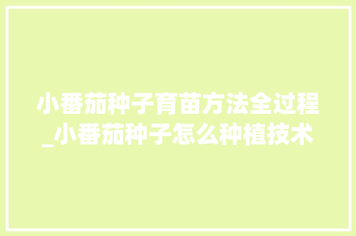小番茄种子育苗方法全过程_小番茄种子怎么种植技术视频 小番茄种子育苗方法全过程_小番茄种子怎么种植技术视频 植物种类