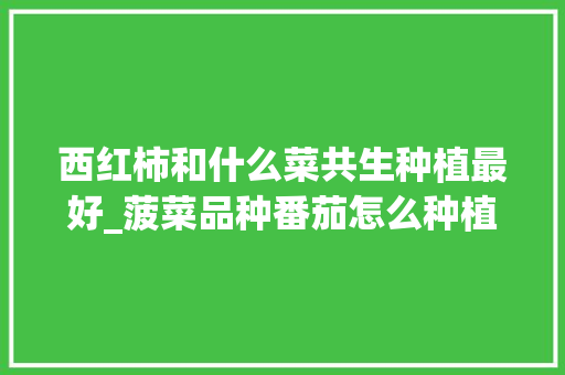 西红柿和什么菜共生种植最好_菠菜品种番茄怎么种植的