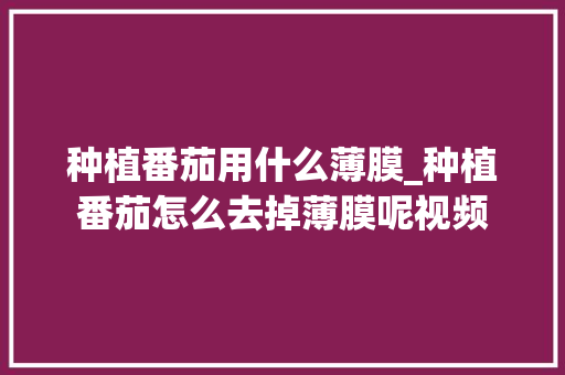 种植番茄用什么薄膜_种植番茄怎么去掉薄膜呢视频