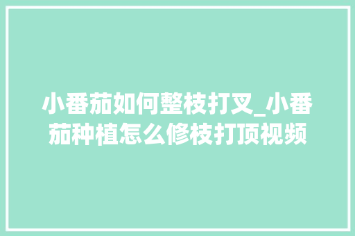 小番茄如何整枝打叉_小番茄种植怎么修枝打顶视频