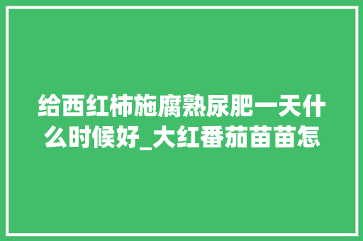 给西红柿施腐熟尿肥一天什么时候好_大红番茄苗苗怎么种植视频