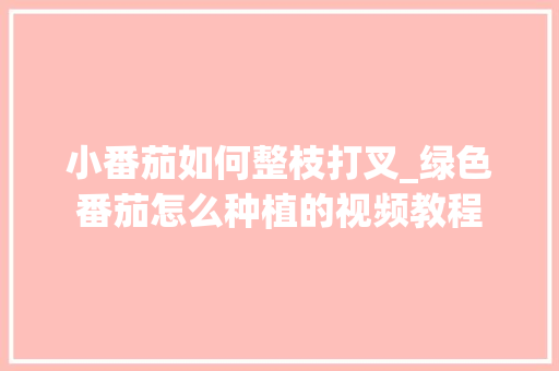 小番茄如何整枝打叉_绿色番茄怎么种植的视频教程 小番茄如何整枝打叉_绿色番茄怎么种植的视频教程 番茄病虫害防治