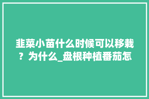 韭菜小苗什么时候可以移栽？为什么_盘根种植番茄怎么种植