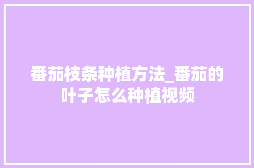 番茄枝条种植方法_番茄的叶子怎么种植视频 番茄枝条种植方法_番茄的叶子怎么种植视频 番茄种植技巧