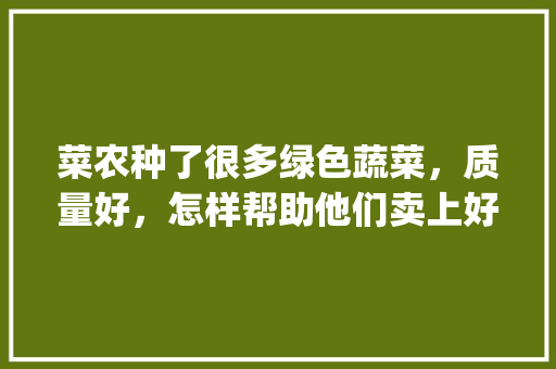 菜农种了很多绿色蔬菜，质量好，怎样帮助他们卖上好价钱呢_绿色生态蔬菜种植技巧和方法 菜农种了很多绿色蔬菜，质量好，怎样帮助他们卖上好价钱呢_绿色生态蔬菜种植技巧和方法 土壤施肥