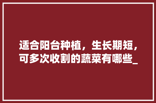 适合阳台种植，生长期短，可多次收割的蔬菜有哪些_三农蔬菜种植技巧和方法 适合阳台种植，生长期短，可多次收割的蔬菜有哪些_三农蔬菜种植技巧和方法 番茄种植技巧