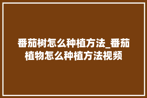番茄树怎么种植方法_番茄植物怎么种植方法视频 番茄树怎么种植方法_番茄植物怎么种植方法视频 番茄种植技巧