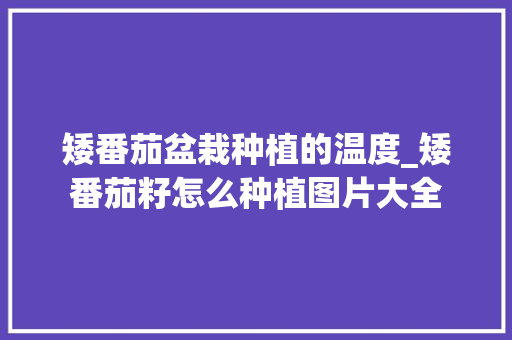 矮番茄盆栽种植的温度_矮番茄籽怎么种植图片大全 农业常识 矮番茄盆栽种植的温度_矮番茄籽怎么种植图片大全 矮番茄盆栽种植的温度_矮番茄籽怎么种植图片大全 农业常识