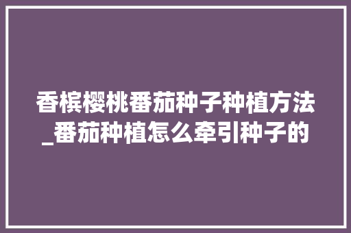 香槟樱桃番茄种子种植方法_番茄种植怎么牵引种子的 农业常识 香槟樱桃番茄种子种植方法_番茄种植怎么牵引种子的 香槟樱桃番茄种子种植方法_番茄种植怎么牵引种子的 农业常识