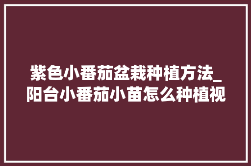 紫色小番茄盆栽种植方法_阳台小番茄小苗怎么种植视频 紫色小番茄盆栽种植方法_阳台小番茄小苗怎么种植视频 花朵知识