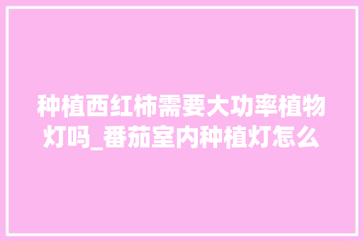 种植西红柿需要大功率植物灯吗_番茄室内种植灯怎么选择好