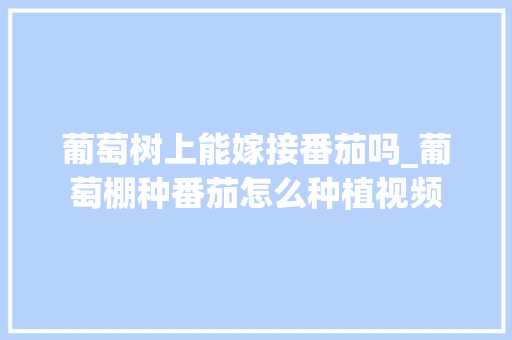 葡萄树上能嫁接番茄吗_葡萄棚种番茄怎么种植视频