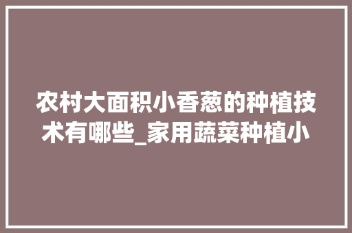 农村大面积小香葱的种植技术有哪些_家用蔬菜种植小技巧视频教程