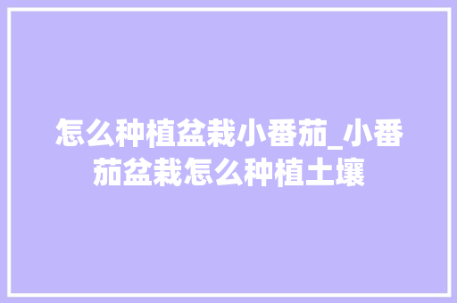 怎么种植盆栽小番茄_小番茄盆栽怎么种植土壤 怎么种植盆栽小番茄_小番茄盆栽怎么种植土壤 农业常识