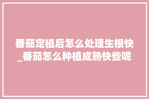 番茄定植后怎么处理生根快_番茄怎么种植成熟快些呢 番茄定植后怎么处理生根快_番茄怎么种植成熟快些呢 番茄病虫害防治