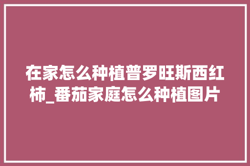 在家怎么种植普罗旺斯西红柿_番茄家庭怎么种植图片大全 在家怎么种植普罗旺斯西红柿_番茄家庭怎么种植图片大全 农业常识