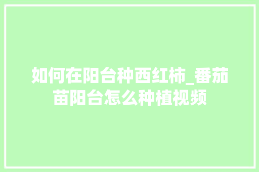 如何在阳台种西红柿_番茄苗阳台怎么种植视频