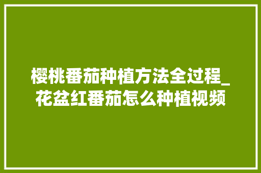 樱桃番茄种植方法全过程_花盆红番茄怎么种植视频 樱桃番茄种植方法全过程_花盆红番茄怎么种植视频 植物种类