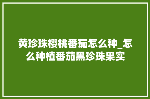 黄珍珠樱桃番茄怎么种_怎么种植番茄黑珍珠果实 黄珍珠樱桃番茄怎么种_怎么种植番茄黑珍珠果实 土壤施肥