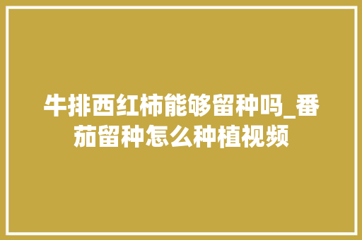 牛排西红柿能够留种吗_番茄留种怎么种植视频
