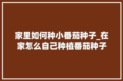 家里如何种小番茄种子_在家怎么自己种植番茄种子 家里如何种小番茄种子_在家怎么自己种植番茄种子 番茄种植技巧