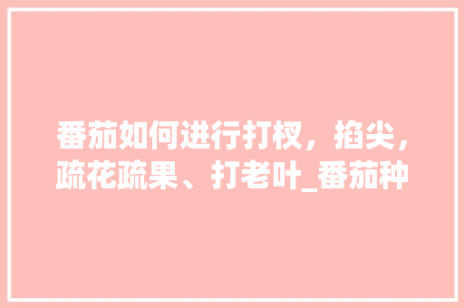 番茄如何进行打杈，掐尖，疏花疏果、打老叶_番茄种植怎么掐尖视频