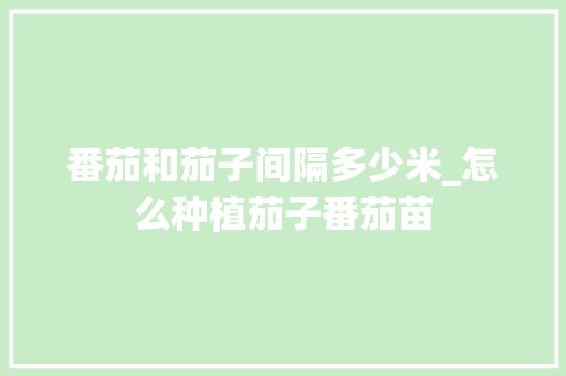 番茄和茄子间隔多少米_怎么种植茄子番茄苗