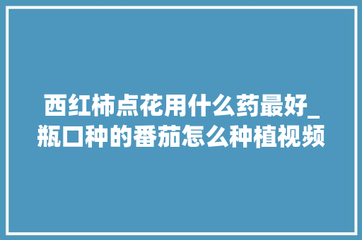 西红柿点花用什么药最好_瓶口种的番茄怎么种植视频