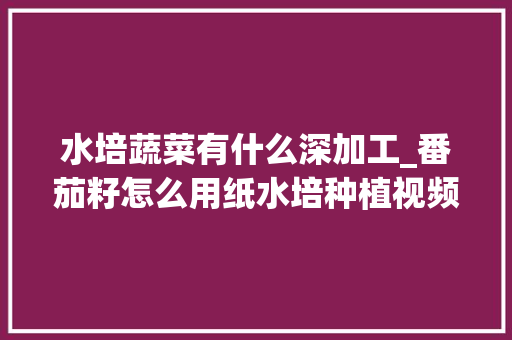 水培蔬菜有什么深加工_番茄籽怎么用纸水培种植视频 水培蔬菜有什么深加工_番茄籽怎么用纸水培种植视频 植物种类