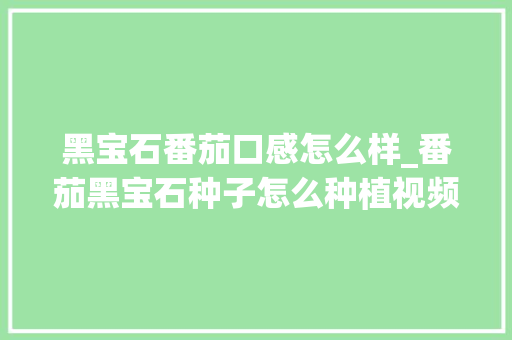 黑宝石番茄口感怎么样_番茄黑宝石种子怎么种植视频