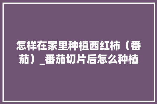 怎样在家里种植西红柿（番茄）_番茄切片后怎么种植视频 怎样在家里种植西红柿（番茄）_番茄切片后怎么种植视频 植物种类
