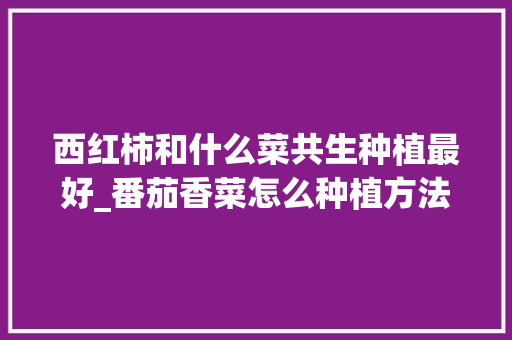 西红柿和什么菜共生种植最好_番茄香菜怎么种植方法视频