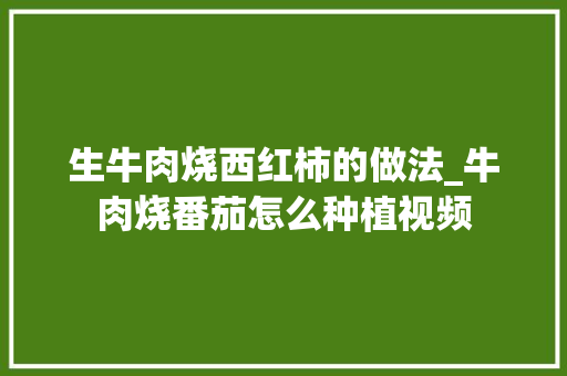 生牛肉烧西红柿的做法_牛肉烧番茄怎么种植视频
