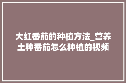 大红番茄的种植方法_营养土种番茄怎么种植的视频 大红番茄的种植方法_营养土种番茄怎么种植的视频 植物种类