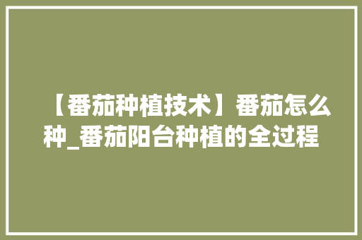 【番茄种植技术】番茄怎么种_番茄阳台种植的全过程 【番茄种植技术】番茄怎么种_番茄阳台种植的全过程 番茄种植技巧